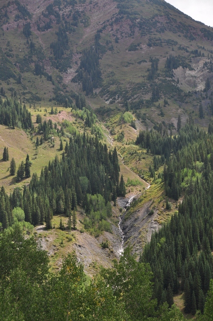 Lead King Basin 